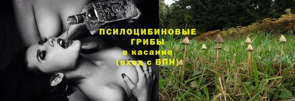 стаф Лабытнанги